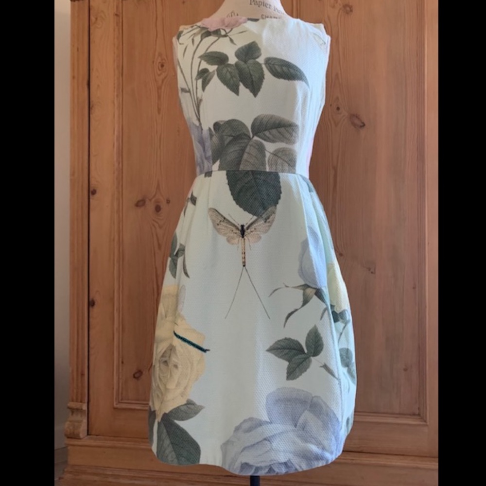 Ted Baker Distinguishing Rose Eleta dress